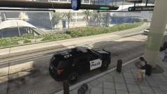 Los Santos Harbor Police