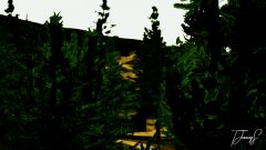 20181027190102_1 copy.jpg