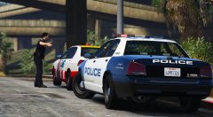 LSIA PD stops lunatic FlyUS driver