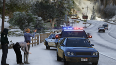 Narcotics search