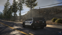 Grand Senora Police (14 FPIU)