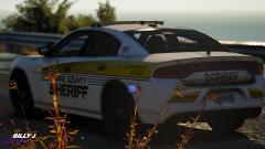 Gold and White 18 Charger