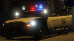 Put your damn hands up, now!!!