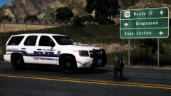 Narcotics and Large Sums of Cash