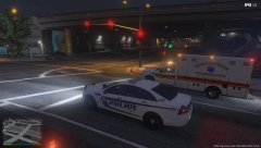 MPD 2014 Caprice (6).png