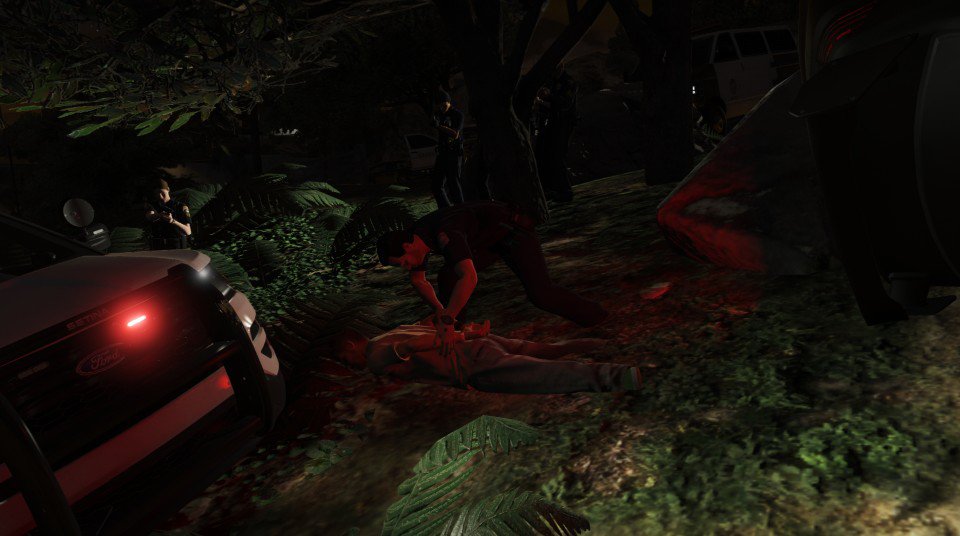 police work by adampai