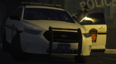 GTA5 2019-01-17 23-00-12-35