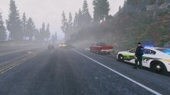 What the hell is happening?