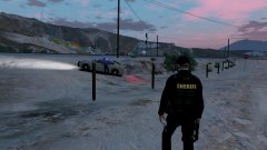 Looks like I found my tazer's next meal