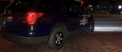 LSPD 1.png