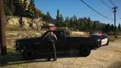 hitting telephone poles.png