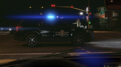 LSPD 3.png