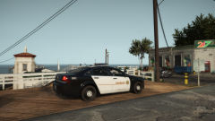 watching the store.png