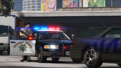 CHP Traffic Stop