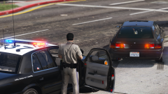 CHP Traffic Stop