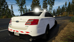 White Lights in the Rear!