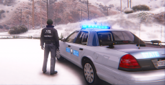 FiveM_2018-11-15_01-25-02.png