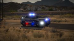 Sandy Shores FPIU