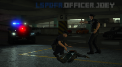 lspdfr1.png