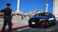 lspdfr1.png