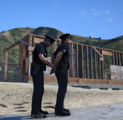 lspdfr2.png