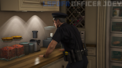 lspdfr3.png