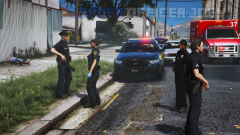 lspdfr3.png