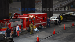 lspdfr3.png