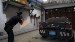 lspdfr4.png
