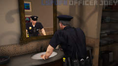 lspdfr1.png