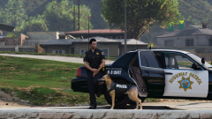 CHP K9