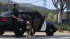 CHP K9