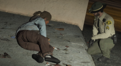 GTA5 2019-02-17 20-24-06-94