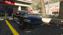 Pittsfield 15 Charger