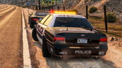 Blaine County "Police"