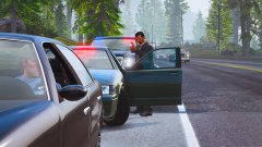 Traffic stop turns out as a Felony stop in Paleto