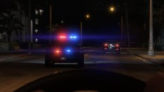 Midnight pursuit in Vespucci Beach