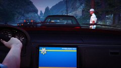 SAHP routine traffic stop