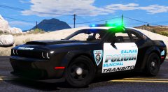 Salinas P.R. Transit police