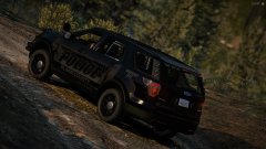 If We Have the Courage to Pursue Them....