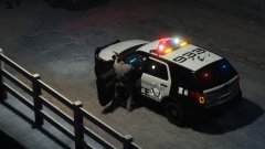 Midnight bridge standoff with armed robbers