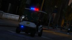 FIB Police Caddy