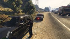Traffic Stop