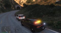 Traffic Stop