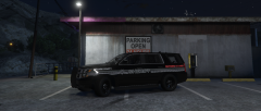 K-9