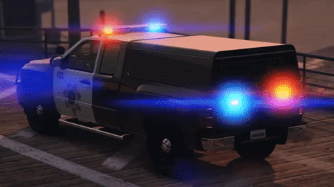 SPD [SALINAS POLICE DEPARTMENT]#3