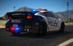 Blaine County Elegy PD