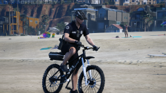 LSPDFR1.png