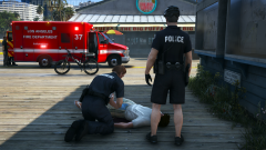 LSPDFR3.png