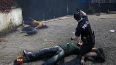 LSPDFR5.png